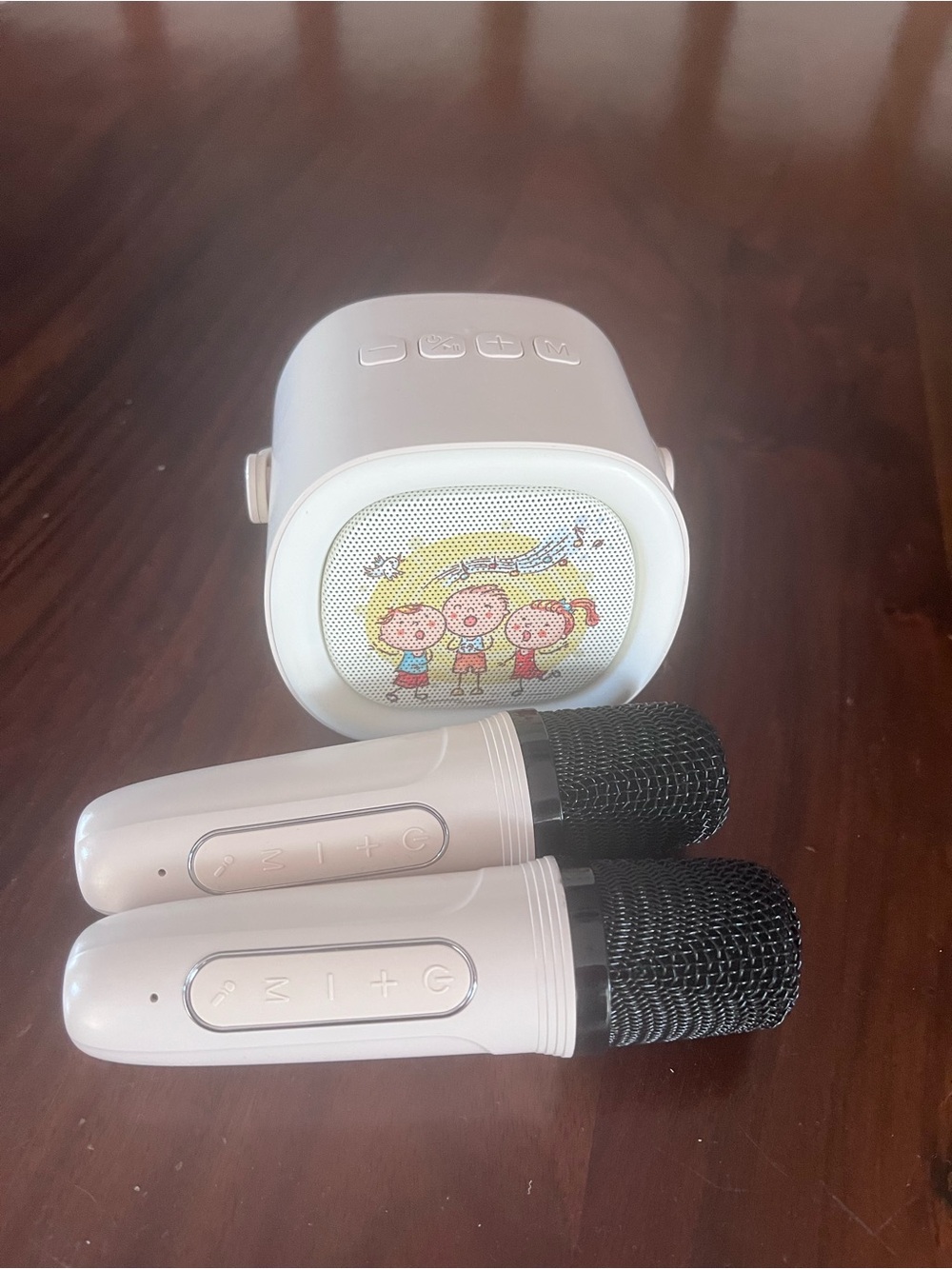 Portable Kids Karaoke Microphone Set